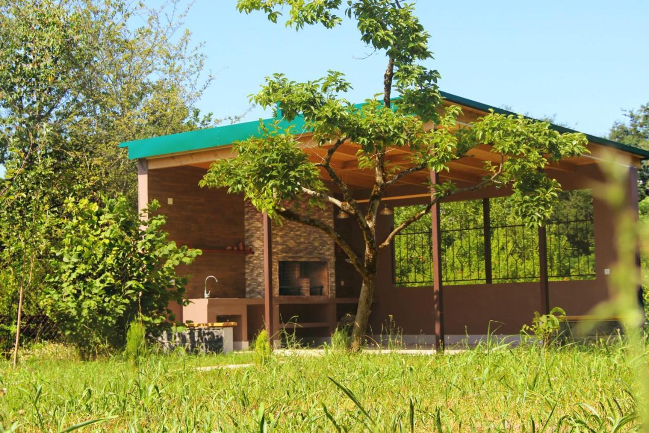 Villa Rokiti Eksteriør billede