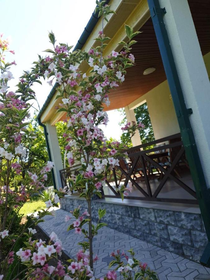 Villa Rokiti Eksteriør billede