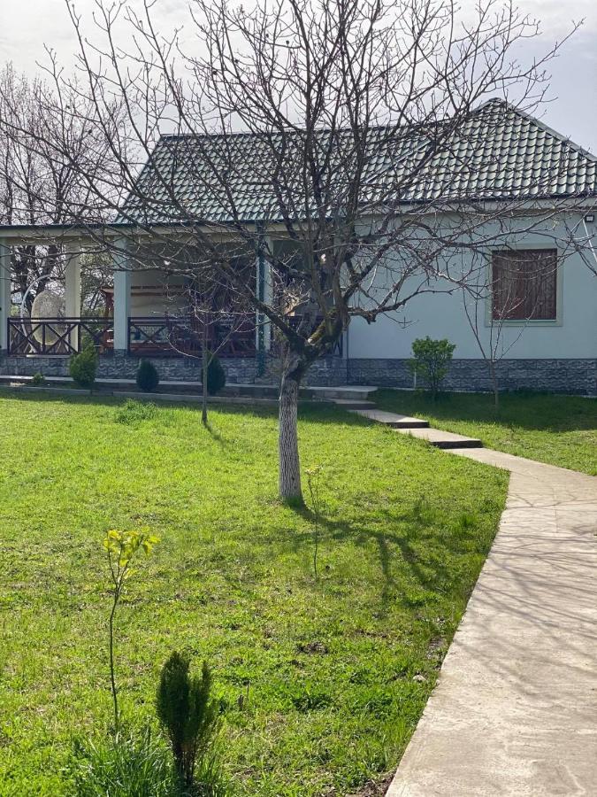 Villa Rokiti Eksteriør billede