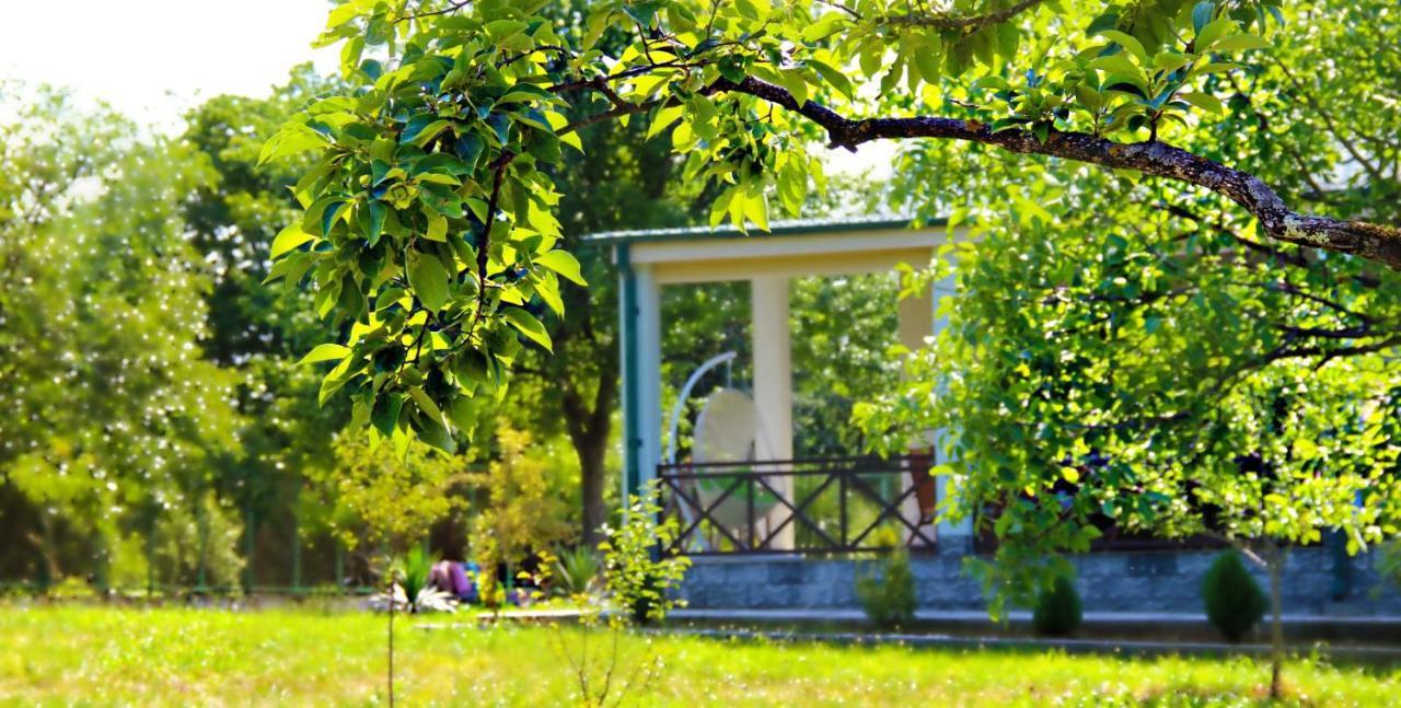 Villa Rokiti Eksteriør billede